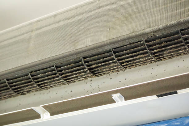 Best HVAC Air Duct Cleaning  in Mill Bay, AK