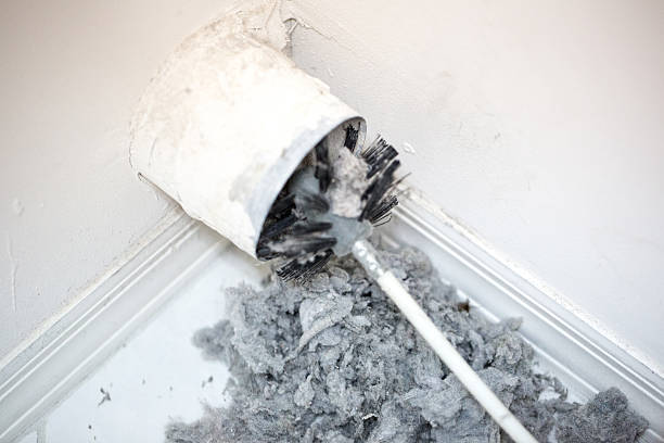 Best Professional Duct Cleaning Services  in Mill Bay, AK